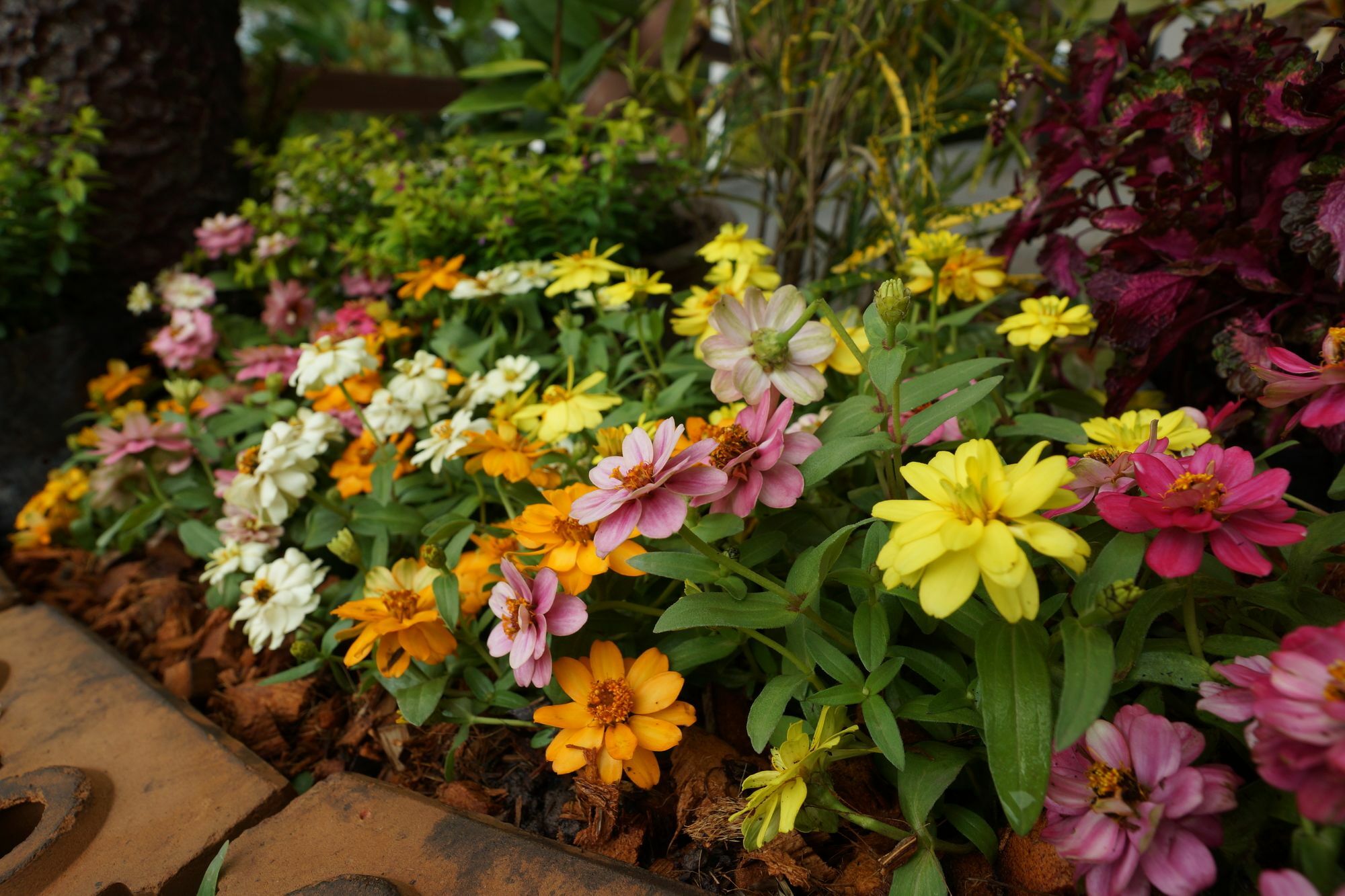 บ้านปลายฝัน Baanplaifun Ban Huai Phai Exterior foto